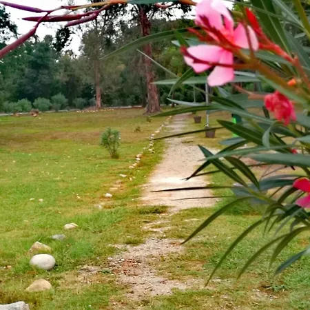 Au Bord De Apartment Ghisonaccia