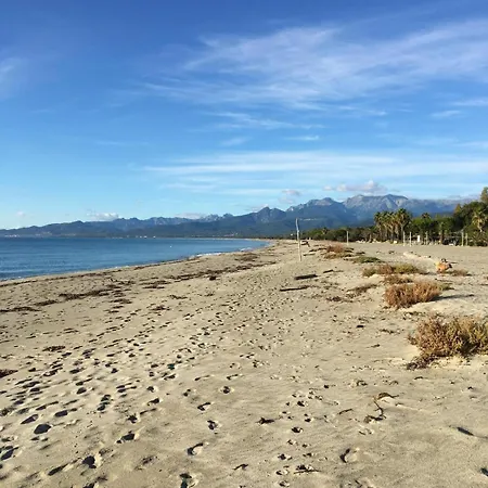 Au Bord De ギソナクシア